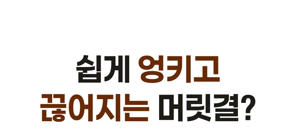 [수분/영양] 힐링버드 리바이브 노워시 트리트먼트 (데미지 리페어/딥모이스처 택 1) 상세페이지 7